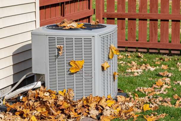Best HVAC air duct cleaning  in Web, AL